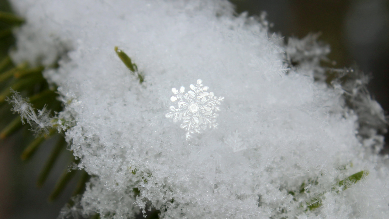 Kar Yağınca Hava Neden Isınır (3)