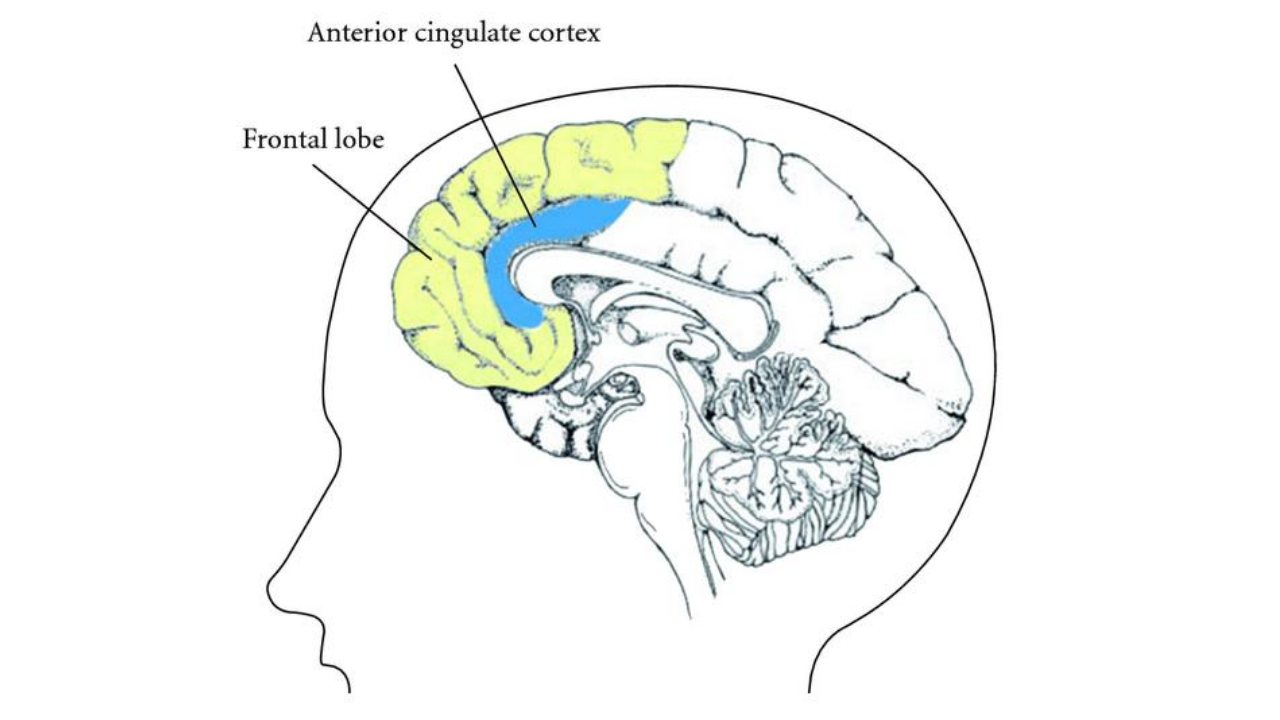 Mutlu Olunca Neden Ağlarız (3)
