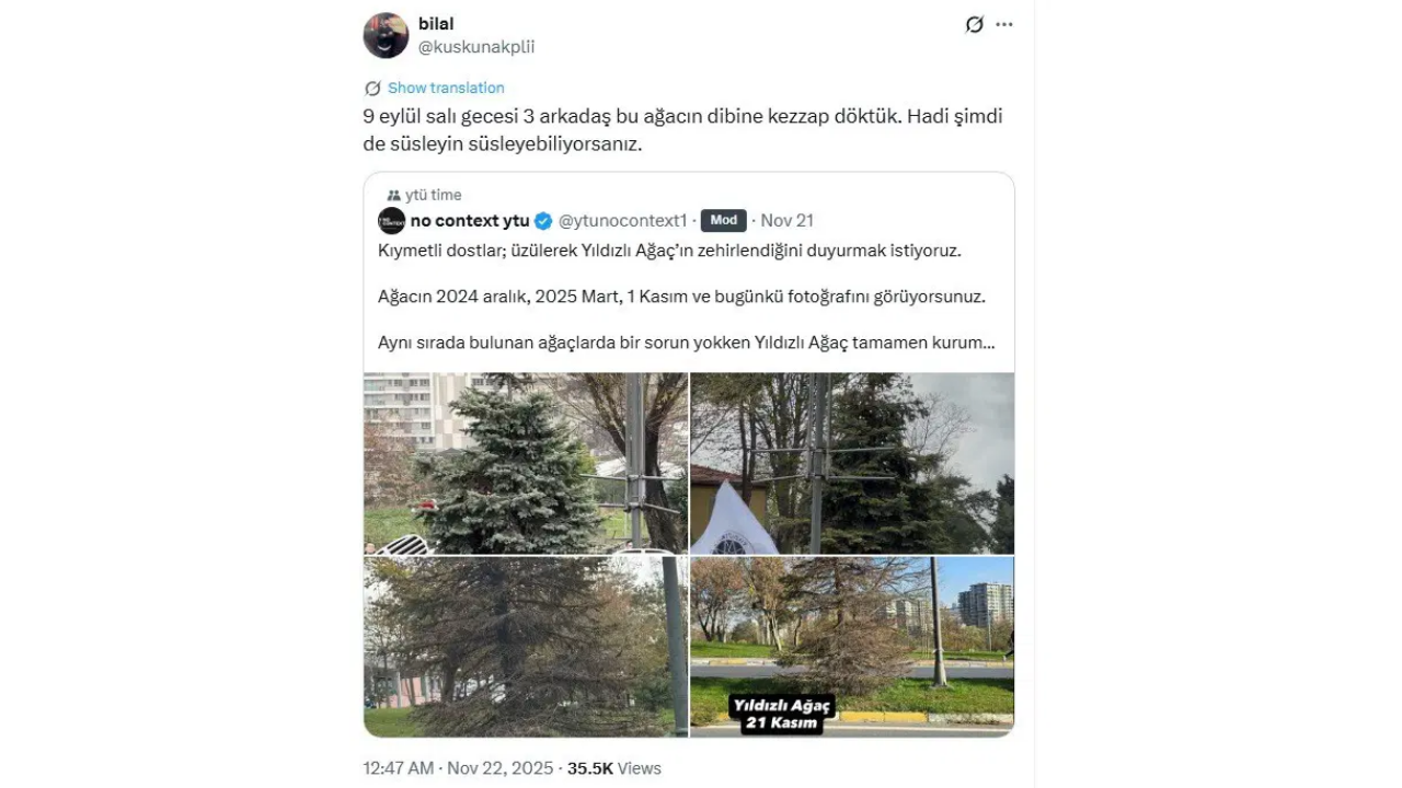 Yıldız Teknik Üniversitesi Öğrencilerinin Yılbaşında Süslediği Ağaç Kezzapla Kurutuldu!