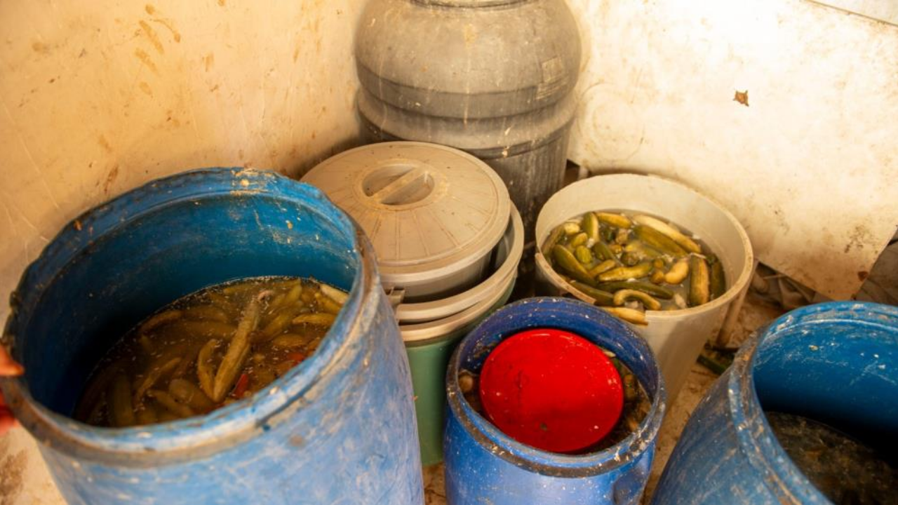 Adana'da Bir Dönerciden Kurtlanmış Salça Ve Turşu Çıktı (3)