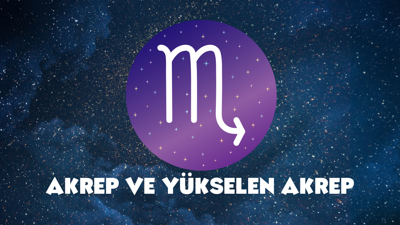 Burçlara Göre Yeni Yıl Hediyesi Fikirleri (4)