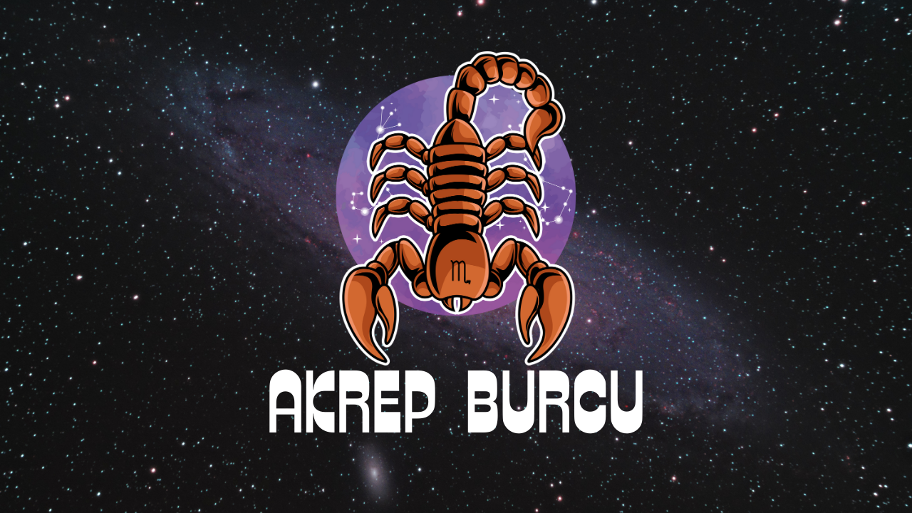 En Kıskanç 3 Erkek Burcu