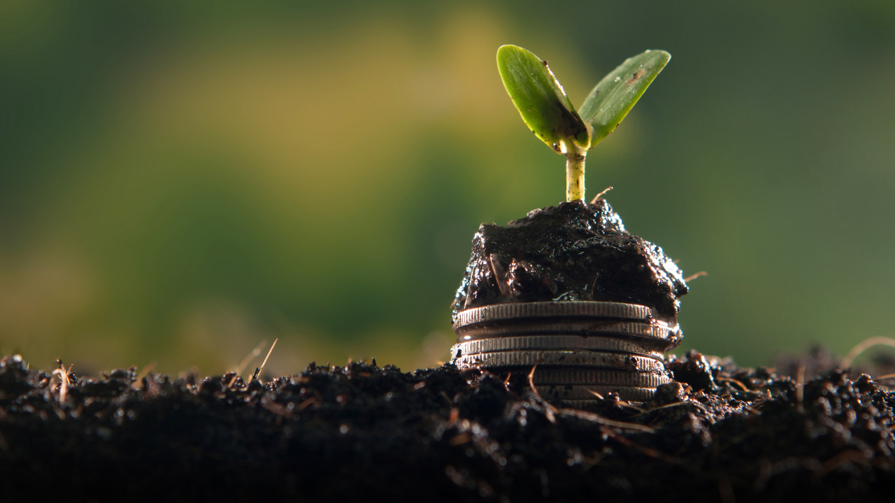 Japonların 120 Yıllık Para Biriktirme Sırrı Kakeibo (1)