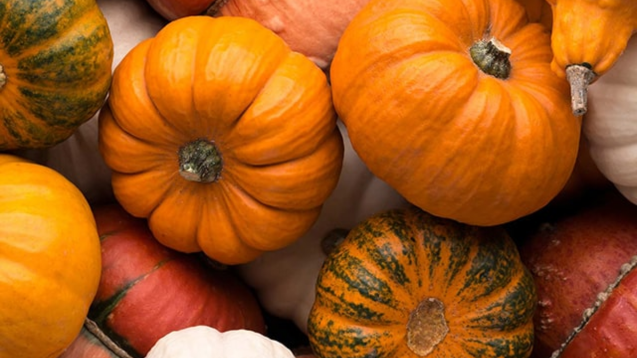 Kışın Mutlaka Tüketmeniz Gereken Şifa Deposu Besinler (2)