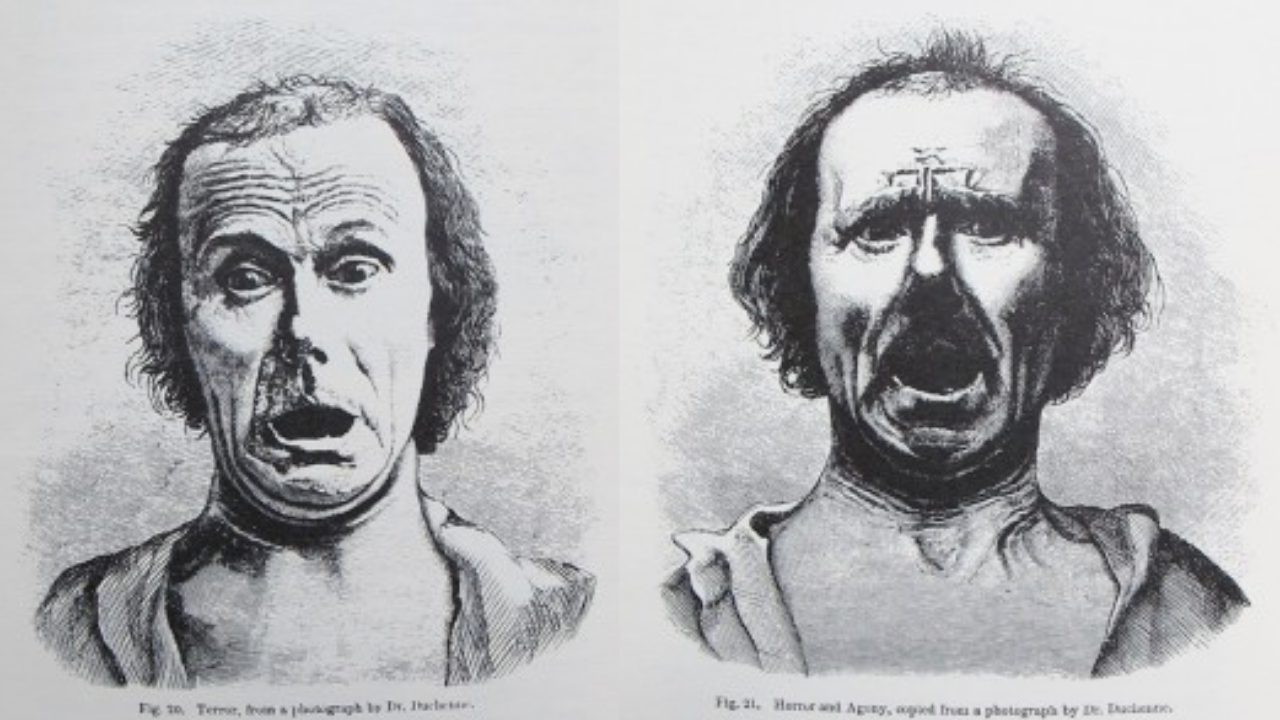 Korktuğumuzda Neden Çığlık Atıyoruz (4)