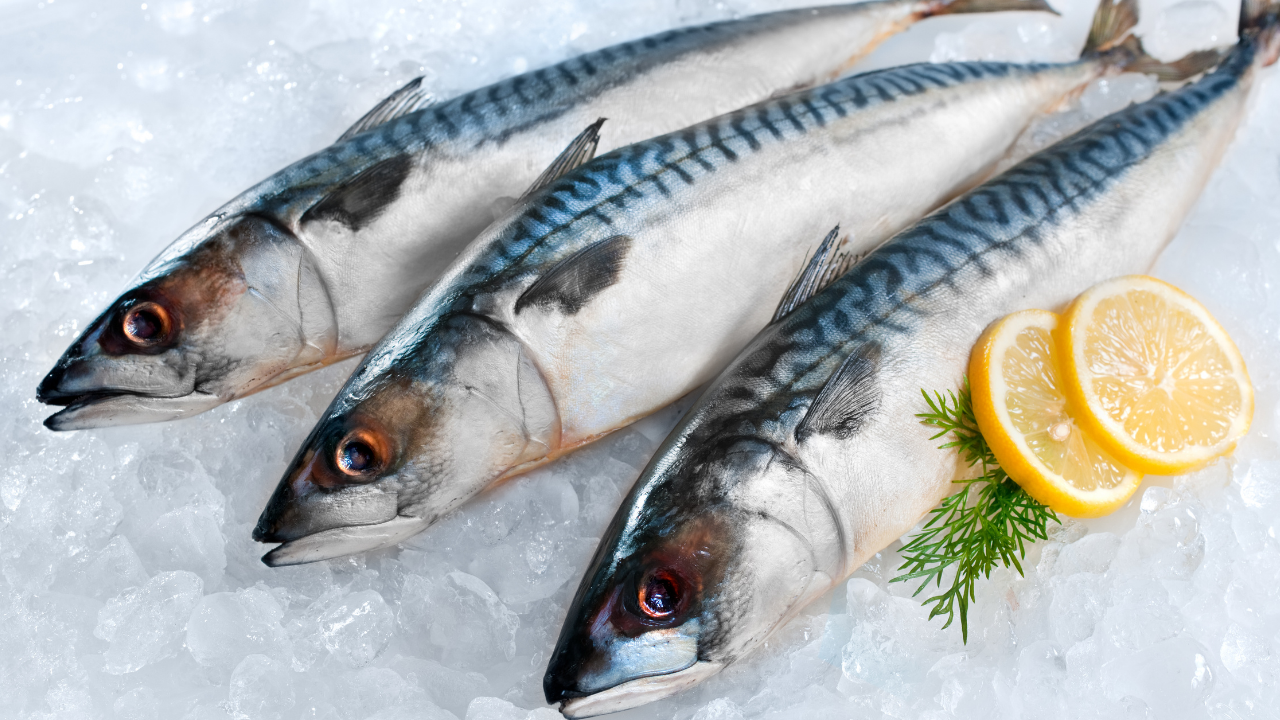 Omega 3'Ü Doğru Almanın Yolu Ne İşte En Güçlü Kaynaklar Ve Çarpıcı Gerçek (2)