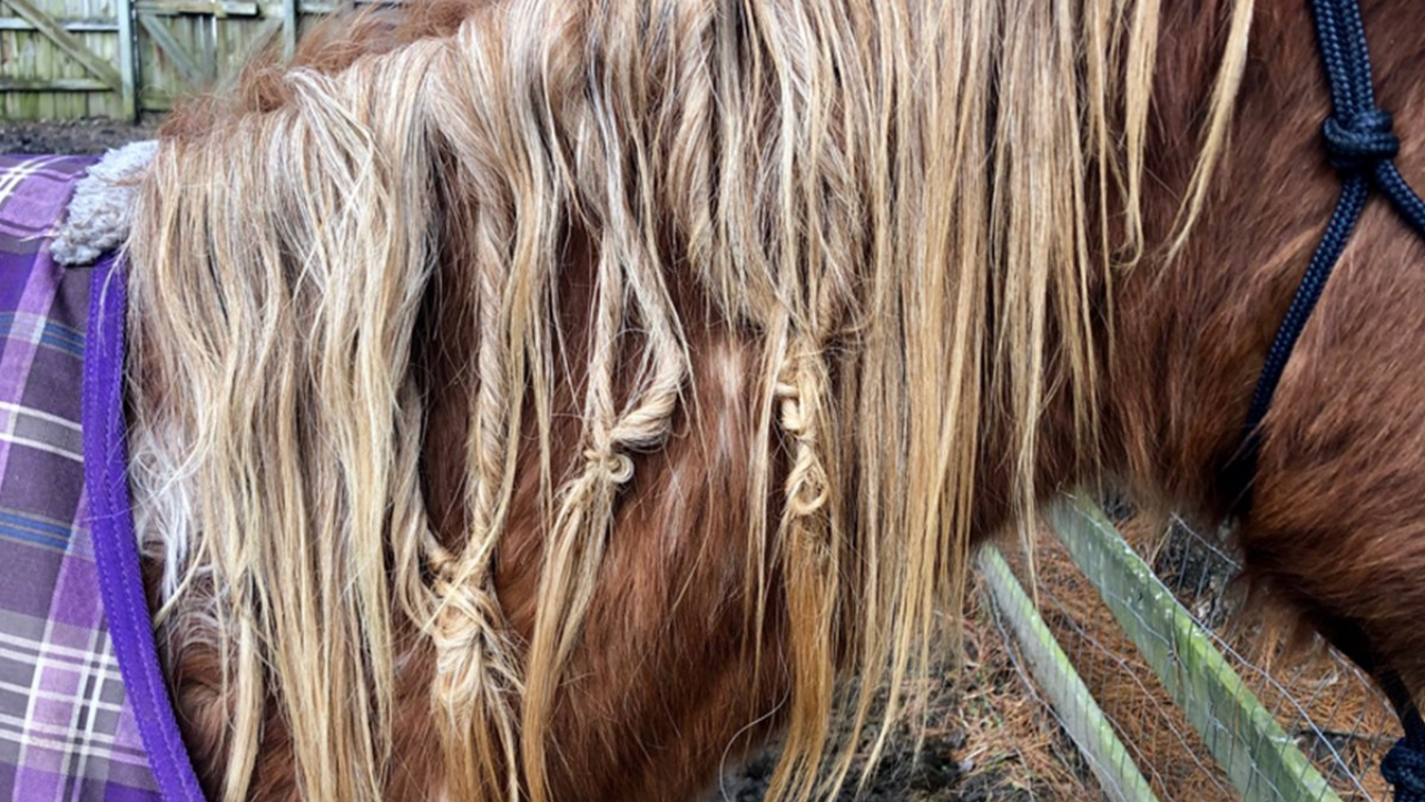 Türk Mitolojisinin Karanlık Yüzü Al Karısı Efsanesi (1)