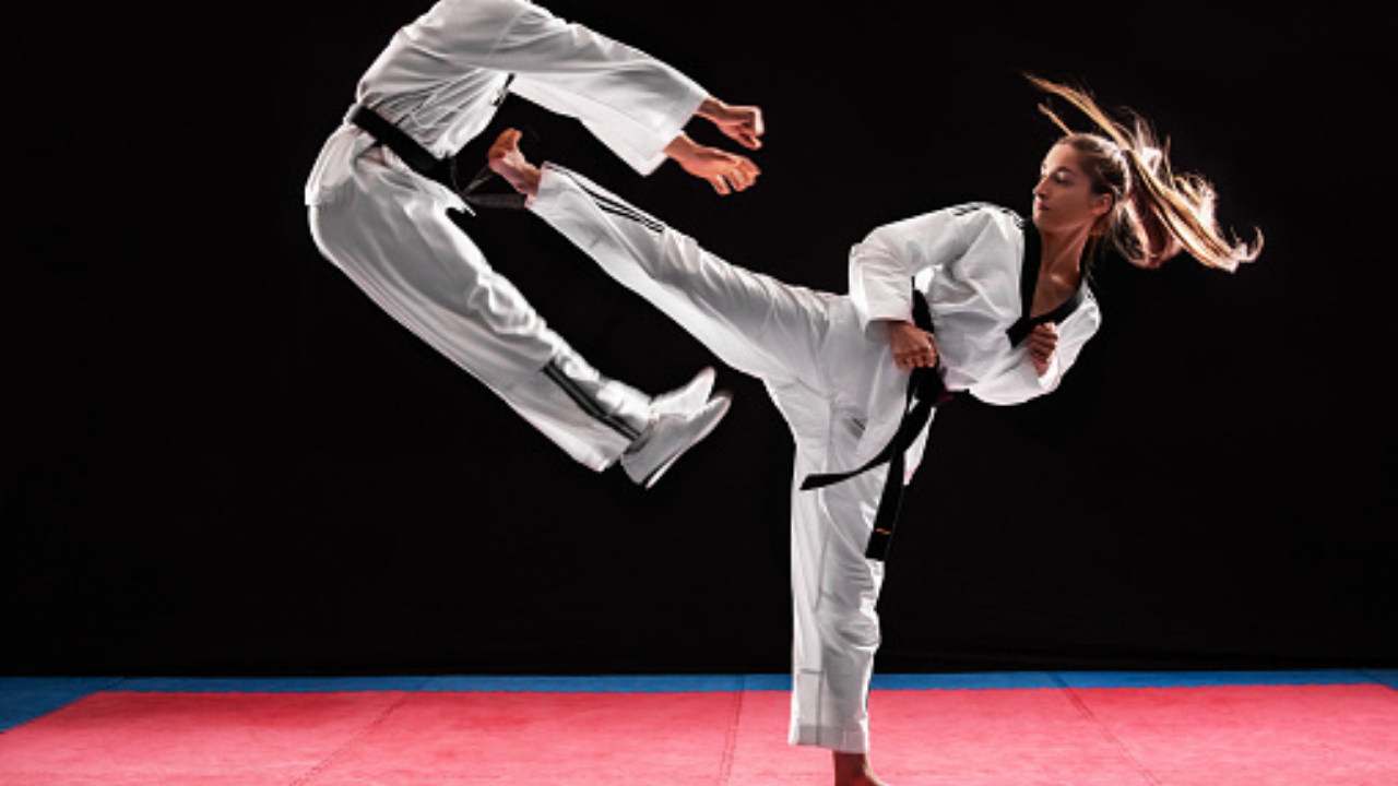 Dövüş Sporları (1)