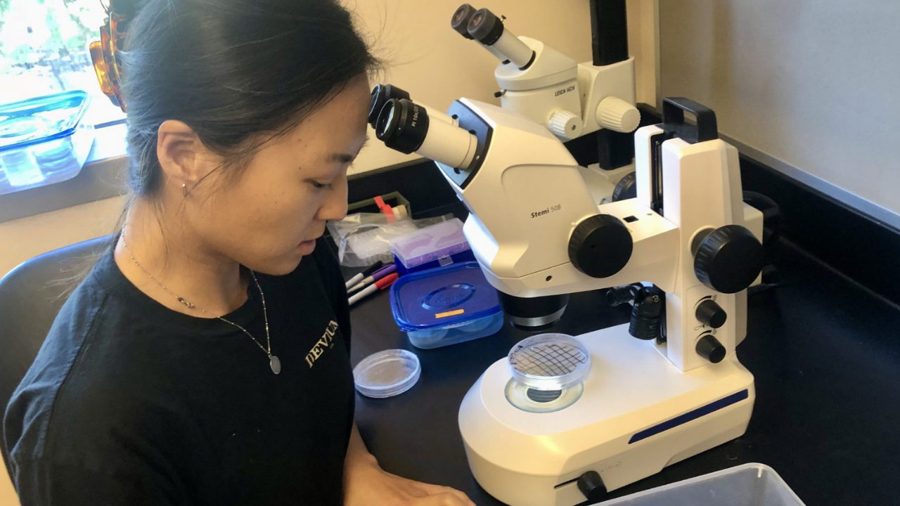 Great Salt Lake (1)-1