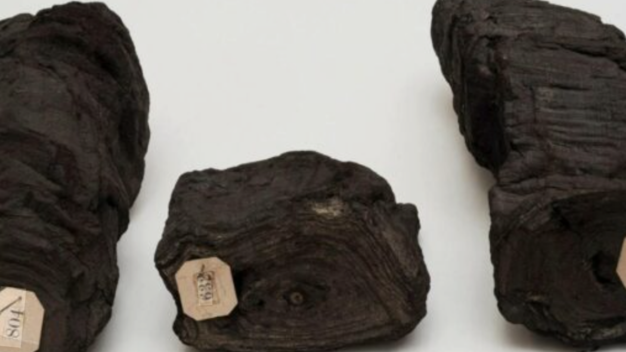 Herculaneum Parşömenlerini (2)