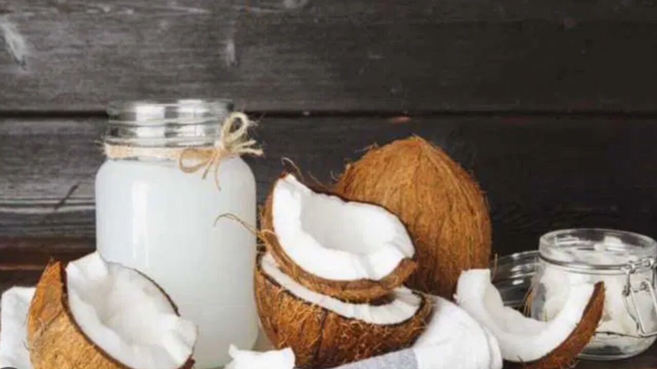 Hindistan Cevizi Sütü