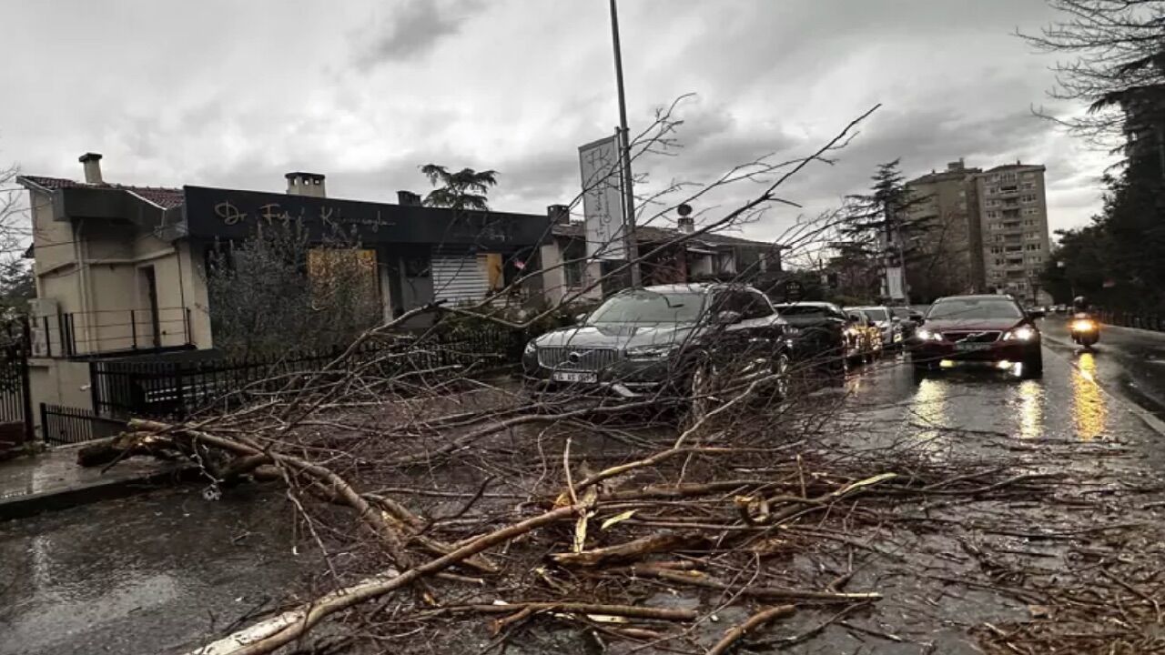 Istanbul Fırtına 1