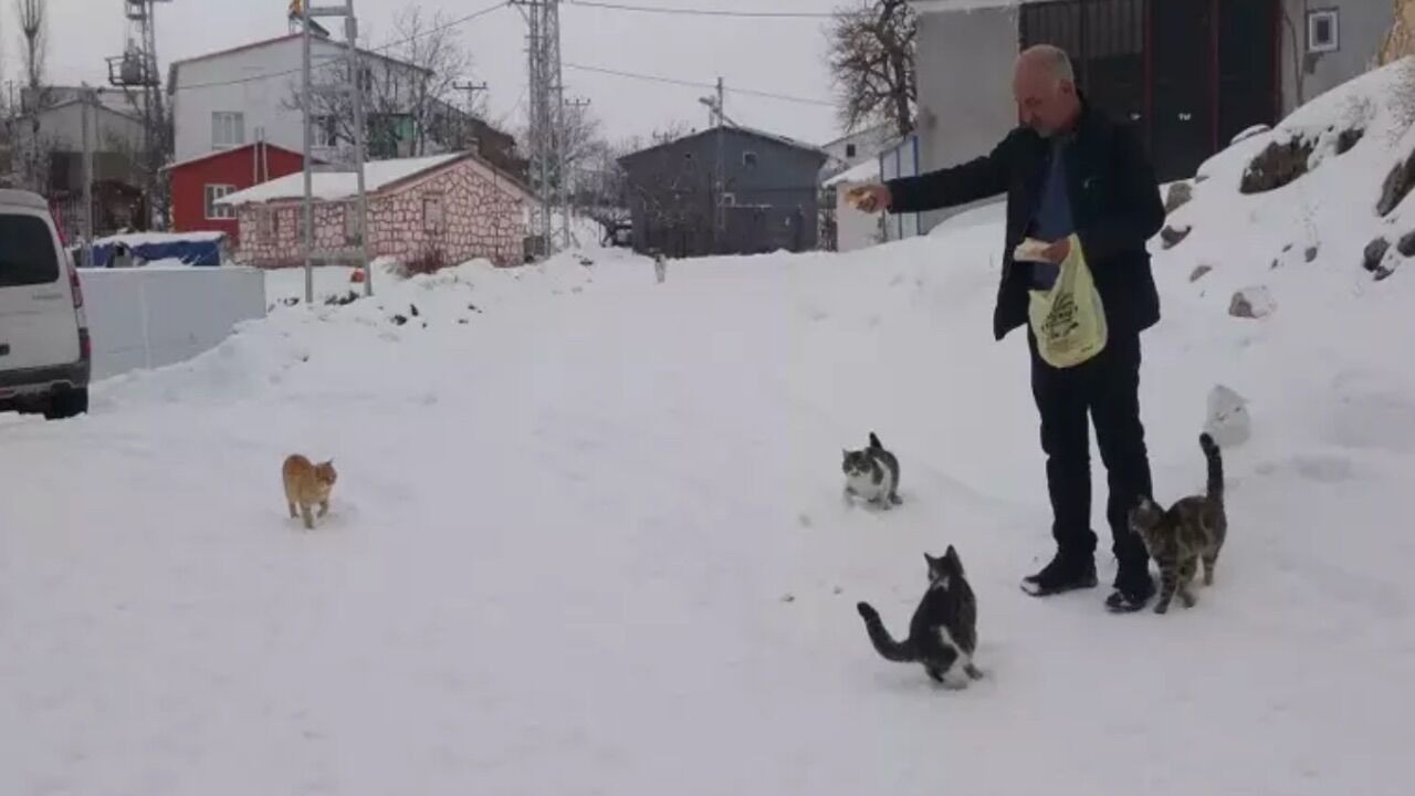 Köyde Tek Başına 1