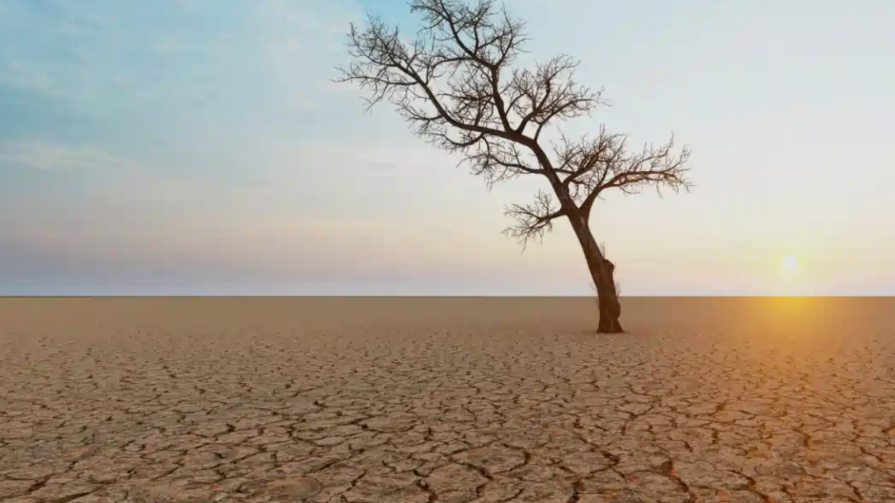 Kuraklık (2)