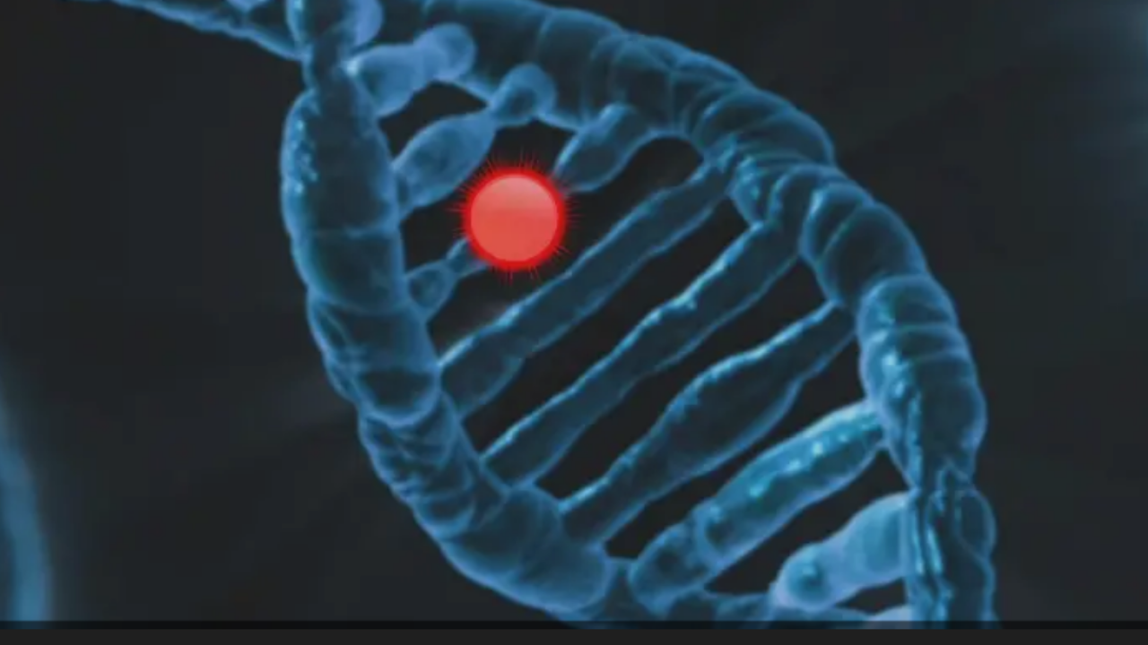 Nadir Hastalıklar (1)