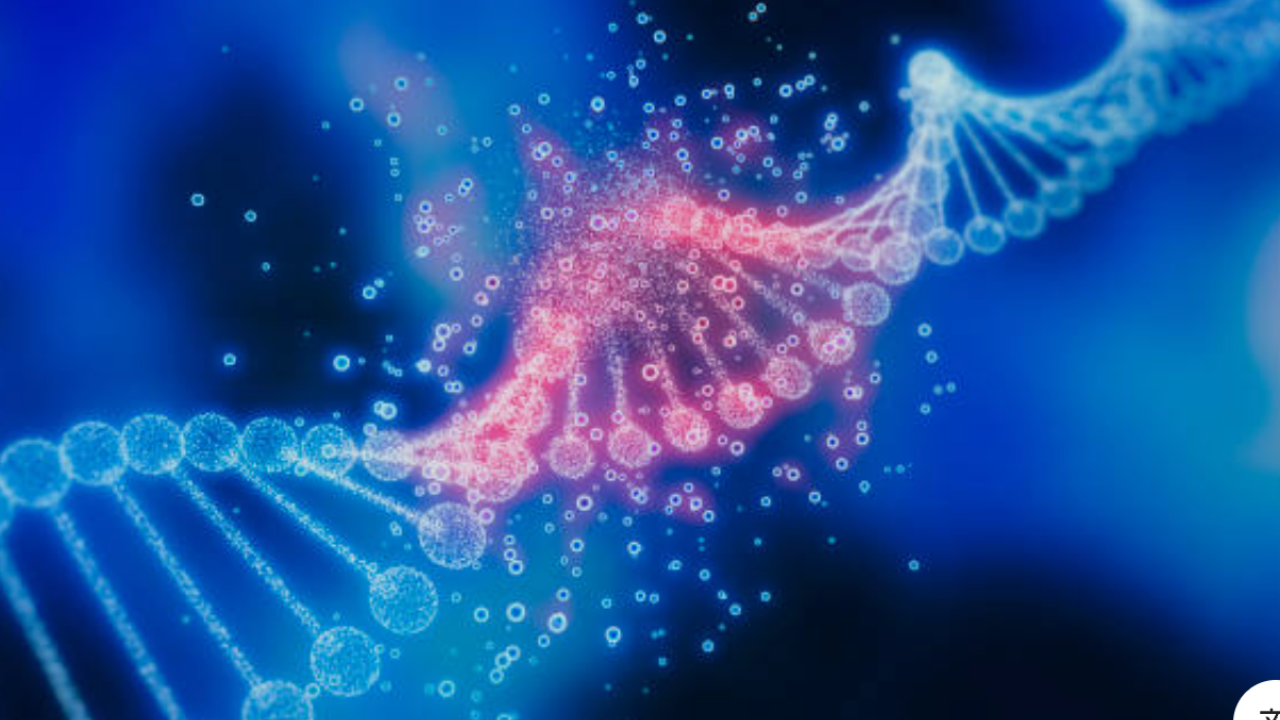 Nadir Hastalıklar (2)