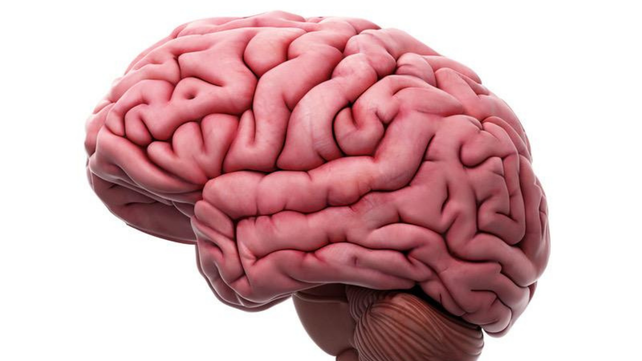 “Rakamlar Korkunç, Şoförümün Yüzüne Bakamıyorum” (5)