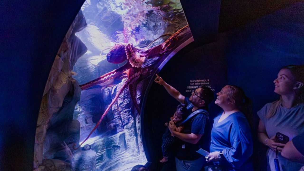 Scripps Birch Akvaryumu