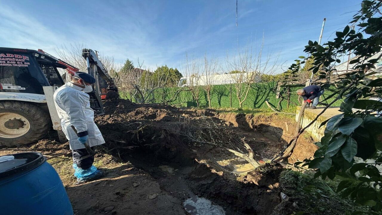 17 Yıllık Cinayet 2