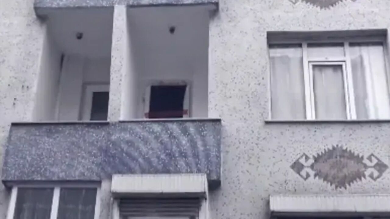 Ölüme Terk Edilen Kız 2