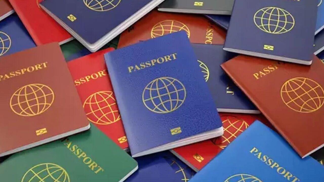 Pasaportlar 1-1