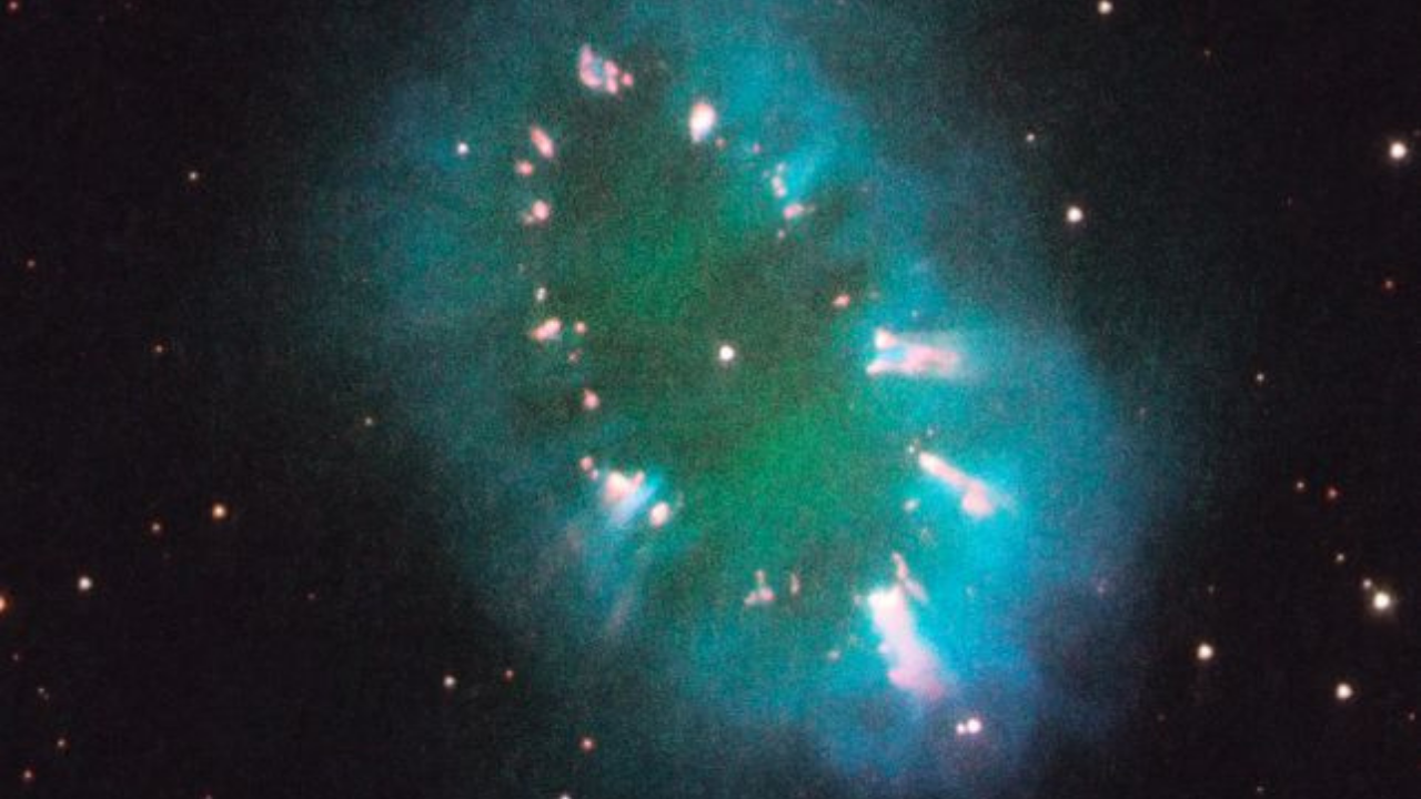 Sevgililer Günü’nde Yıldızlar (5)-1