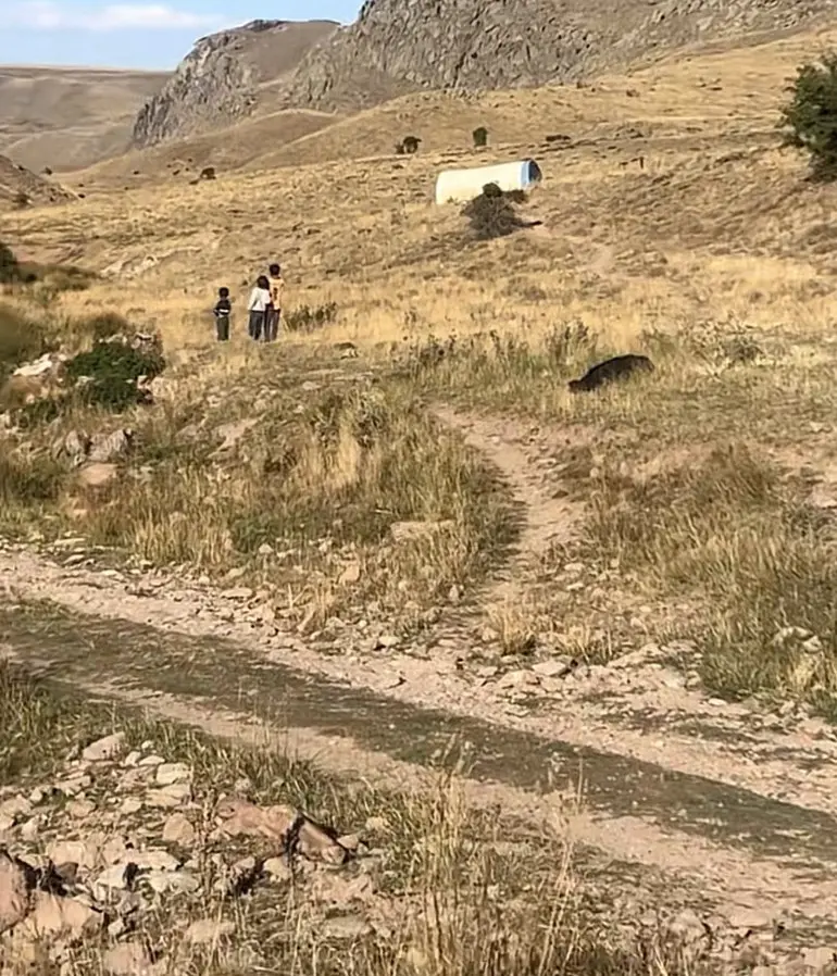 Sivasta Büşra bebek olayında şoke eden iddia: Para karşılığı satıldığı öne sürülen bebek için 6 gözaltı