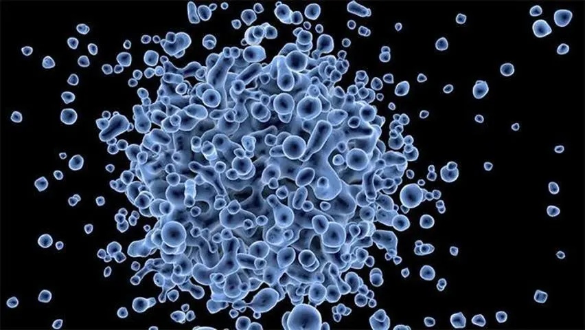 DÜNYA BU TEHDİDİ KONUŞUYOR Antibiyotik Direncinde Tehlikeli Tablo: Ameliyatları Bile Etkileyebilir