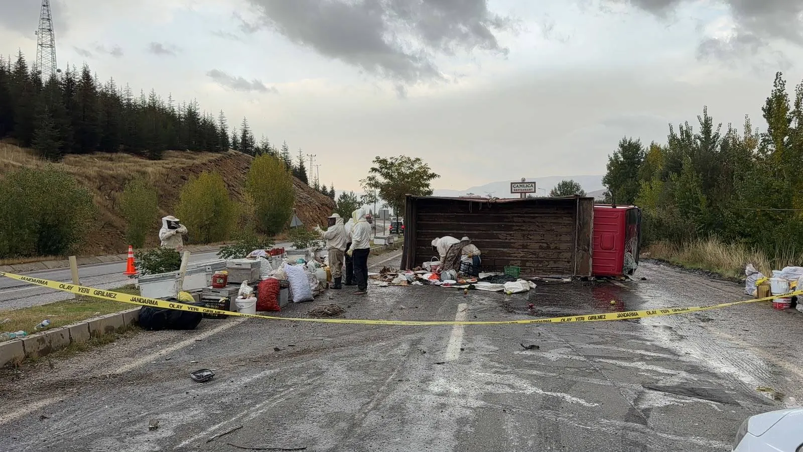 Malatya'da arı kovanı taşıyan kamyonet devrildi: Bal hasadı yol kenarında bitti