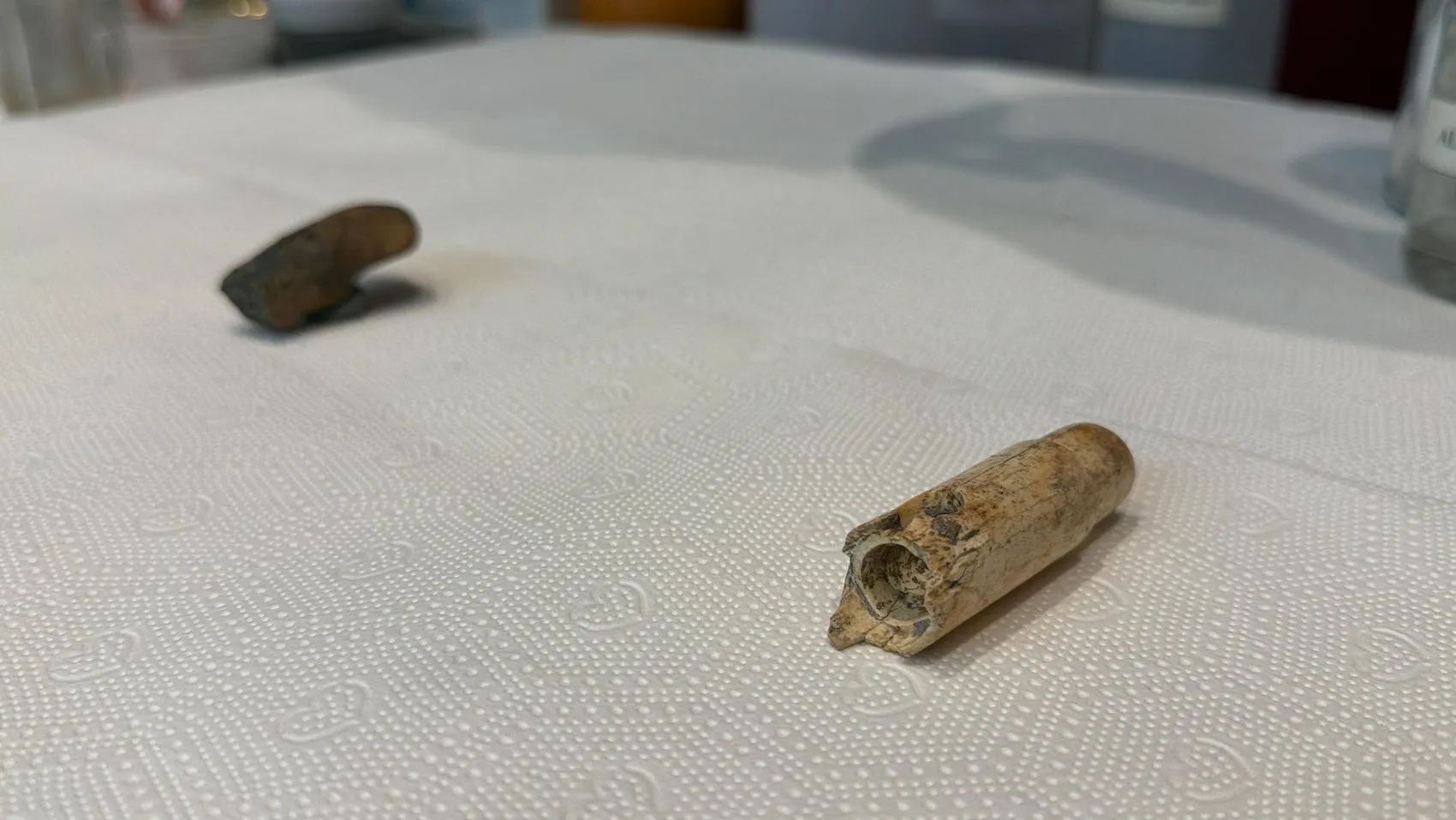 Troya'nın 160 yıllık sessizliği bozuldu: Toprağın altından çıkan o parça tarih kitaplarını güncelleyecek