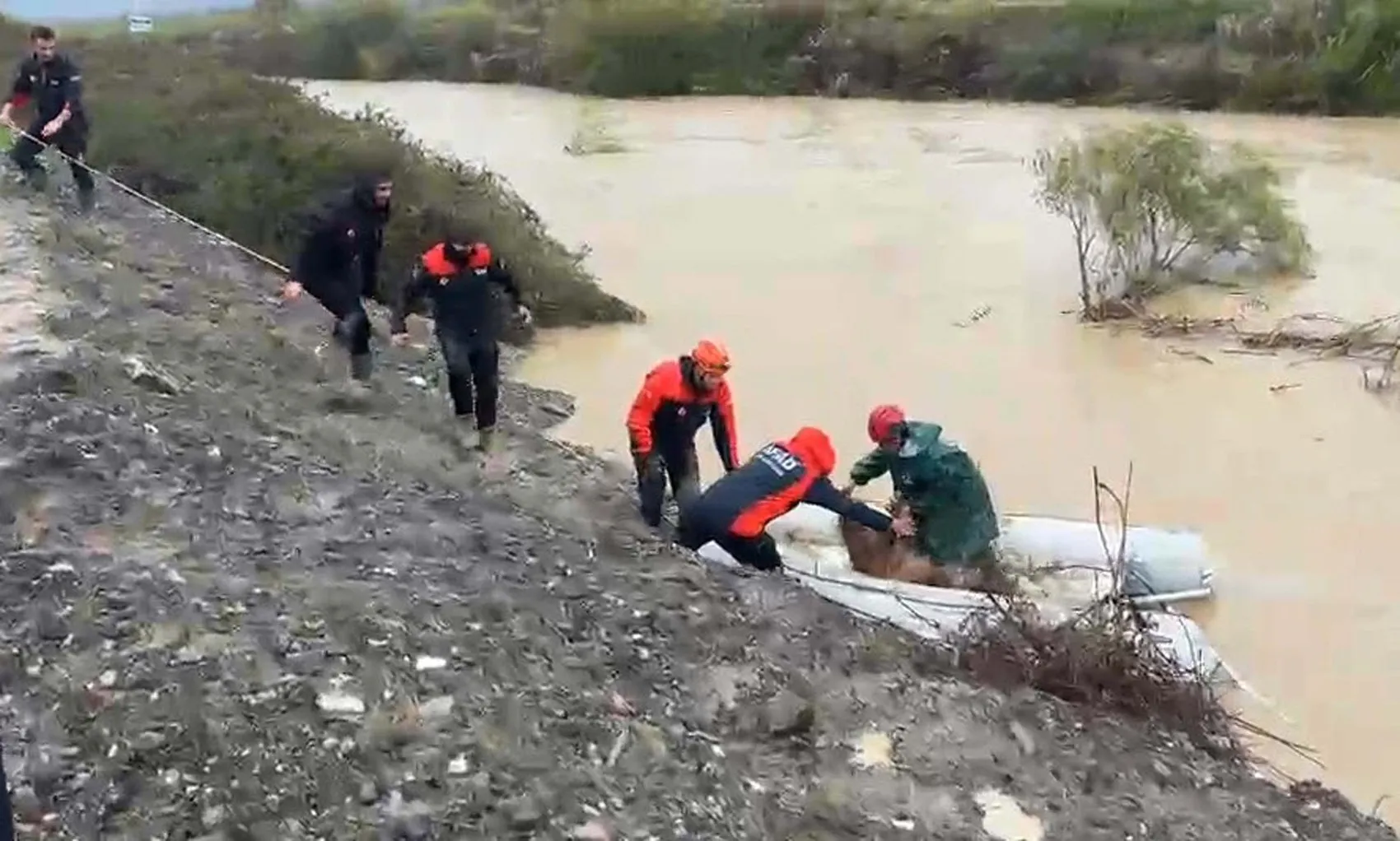Dalaman'da kabus dolu saatler: Sel suları arasında kalan vatandaş ve hayvanlar son anda kurtarıldı