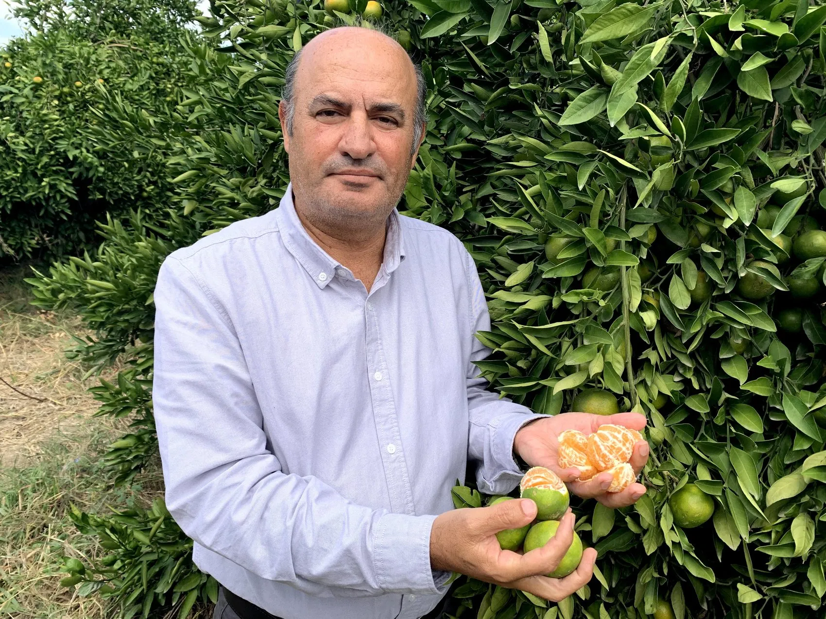 Adana mandalinasında lojistik düğümü çözüldü: İhracat rotasında yeni dönem