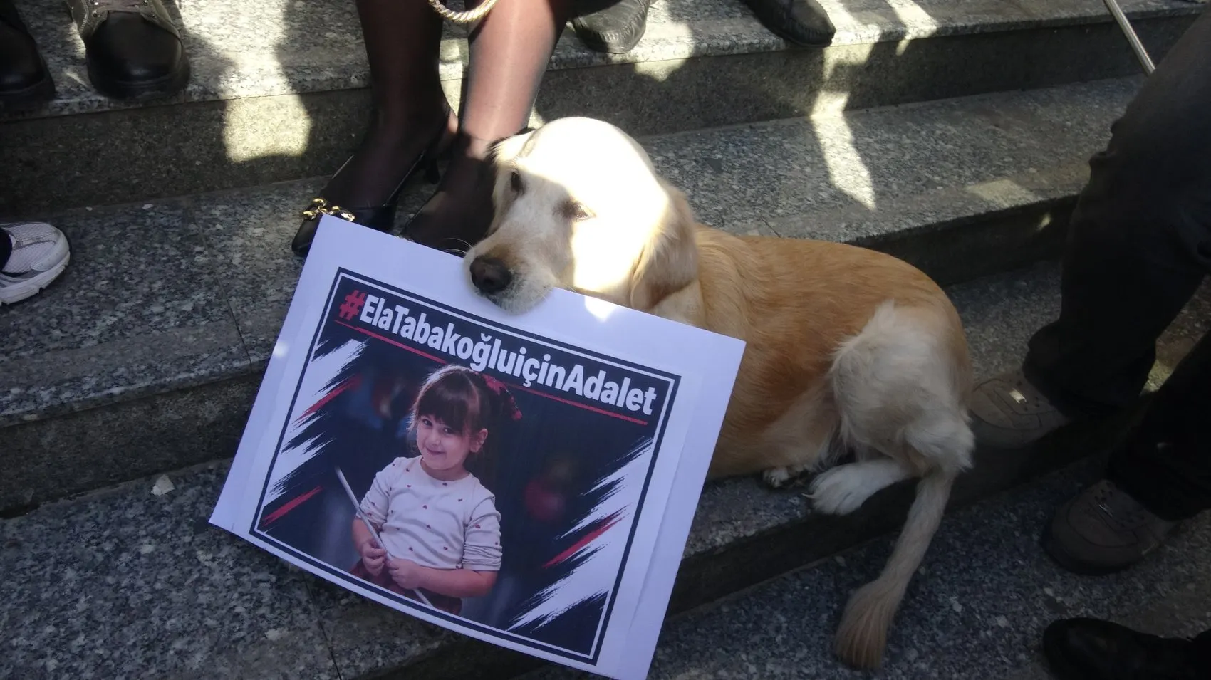 6 yaşındaki Ela’nın davasında şok karar: Servis şoförü serbest kaldı, baba adliye koridorlarında isyan etti