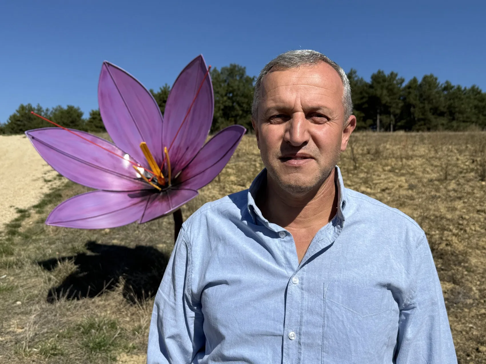 Dünyanın en pahalı baharatında hasat heyecanı: Gramı 800 liradan alıcı buluyor