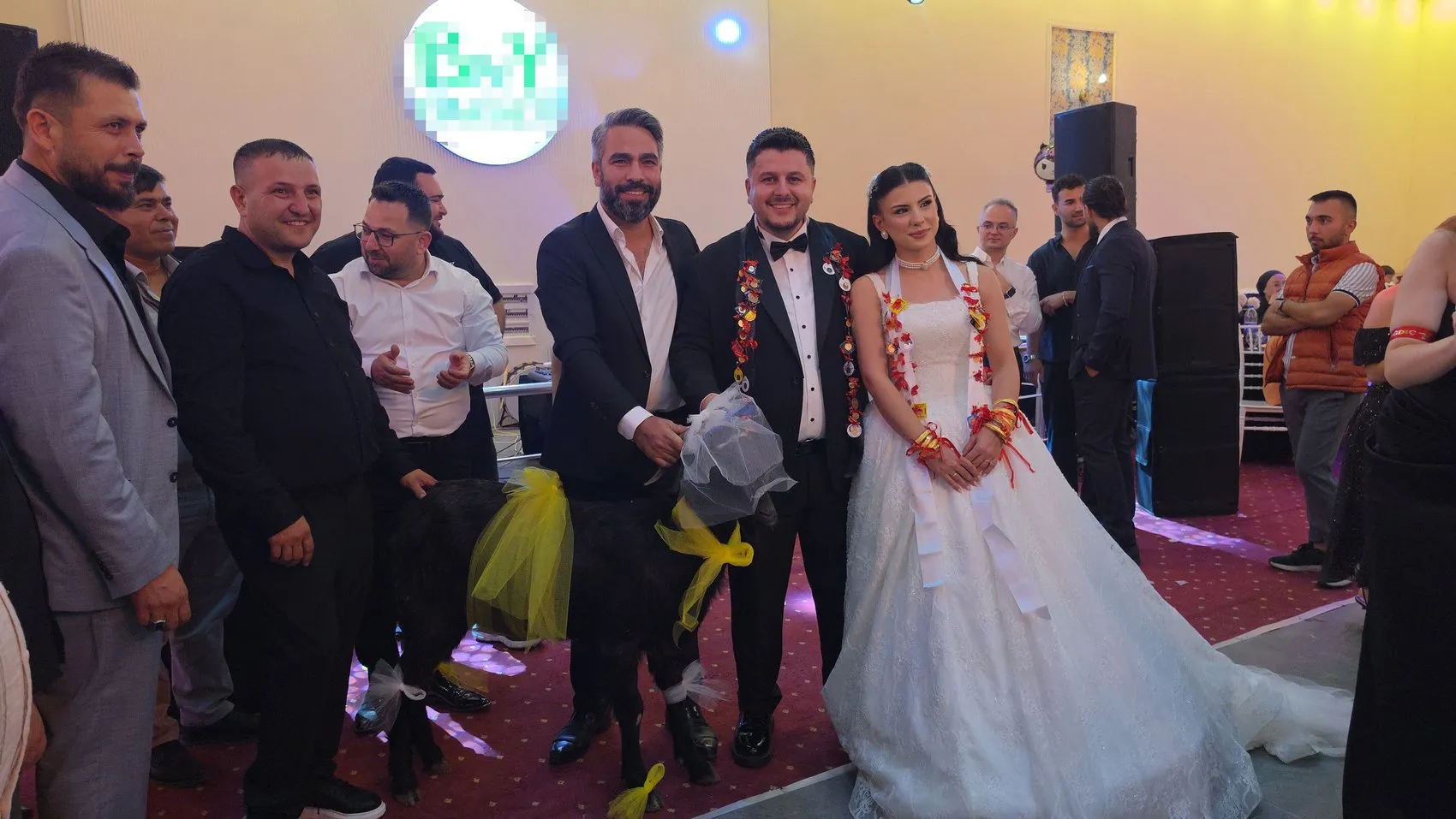 Adana'daki düğünde takı yerine canlı sürpriz: Damat şaşkınlığını gizleyemedi