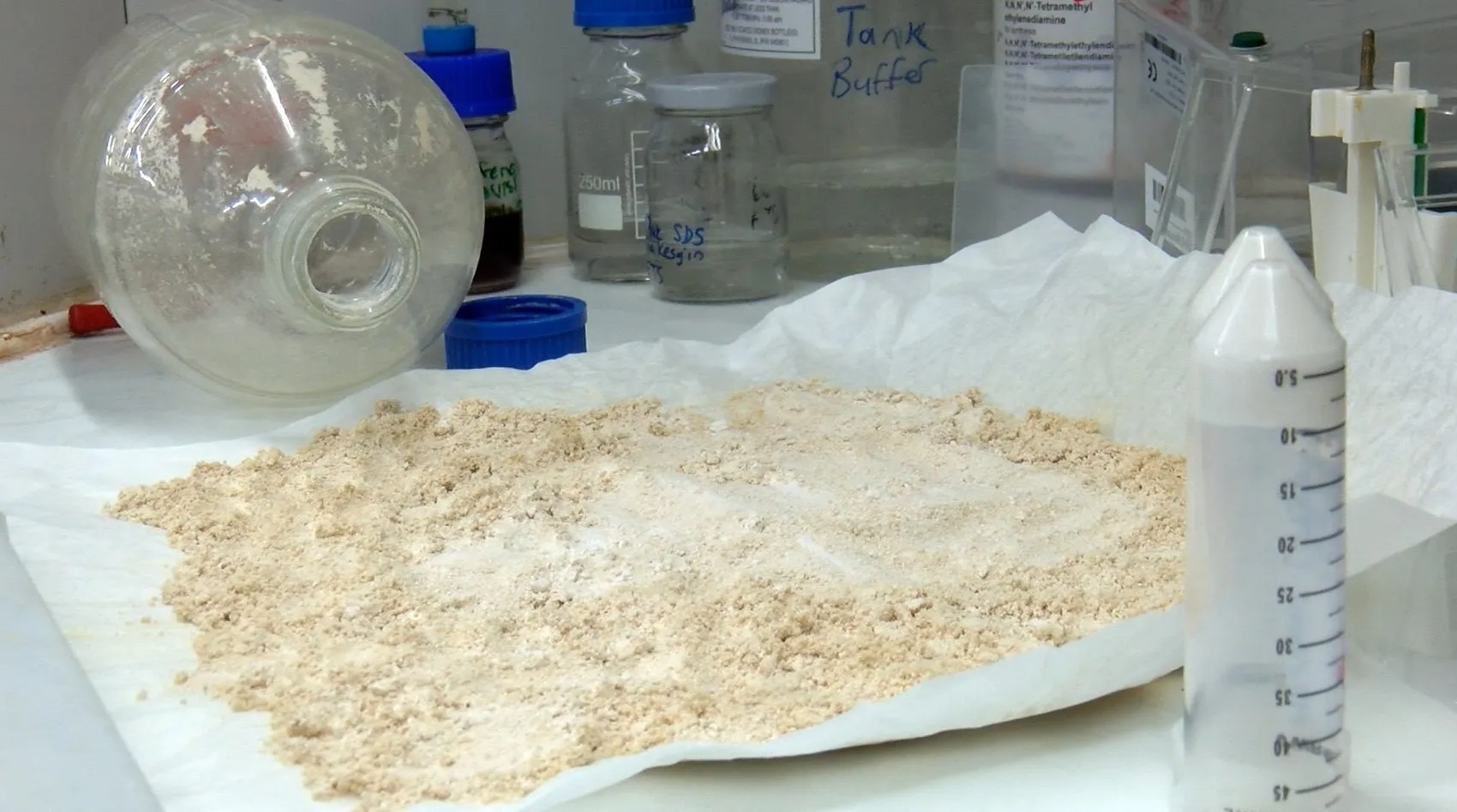 Hayvan yemi olmaktan kurtuluyor: Fındık posası sofralara protein deposu olarak dönüyor