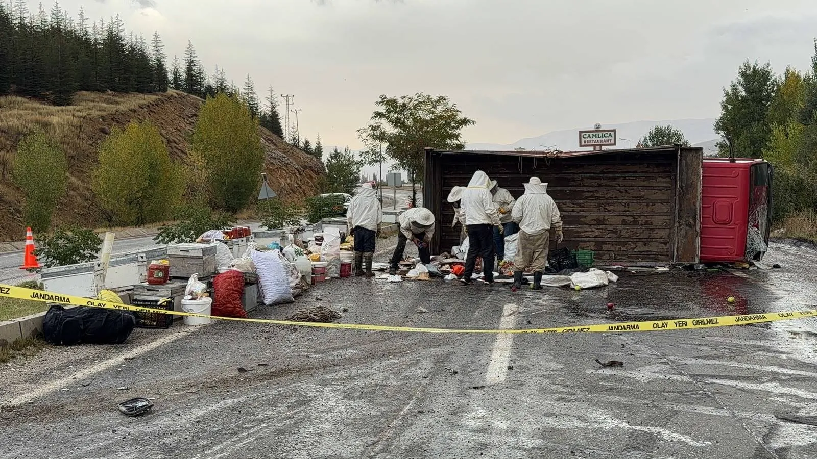 Malatya'da arı kovanı taşıyan kamyonet devrildi: Bal hasadı yol kenarında bitti