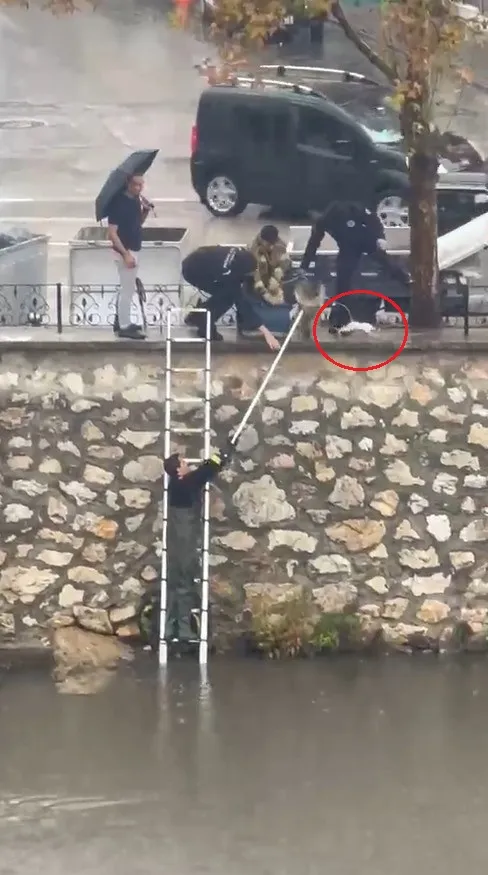 Gemlik'te dereye düşen yavru kedi için nefes kesen operasyon