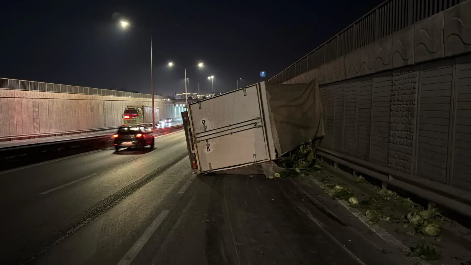 Minik bir canı kurtarmak isterken tonlarca yük yola saçıldı