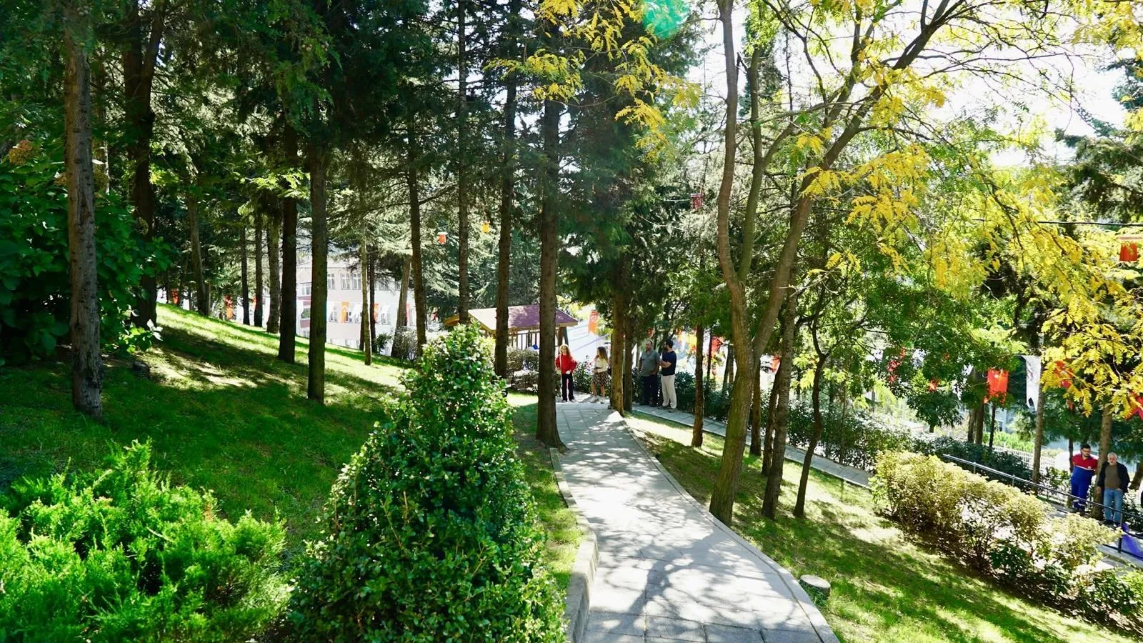 Kağıthane'de betonun yerini doğa aldı: Binlerce ağaçla yeni yaşam alanı