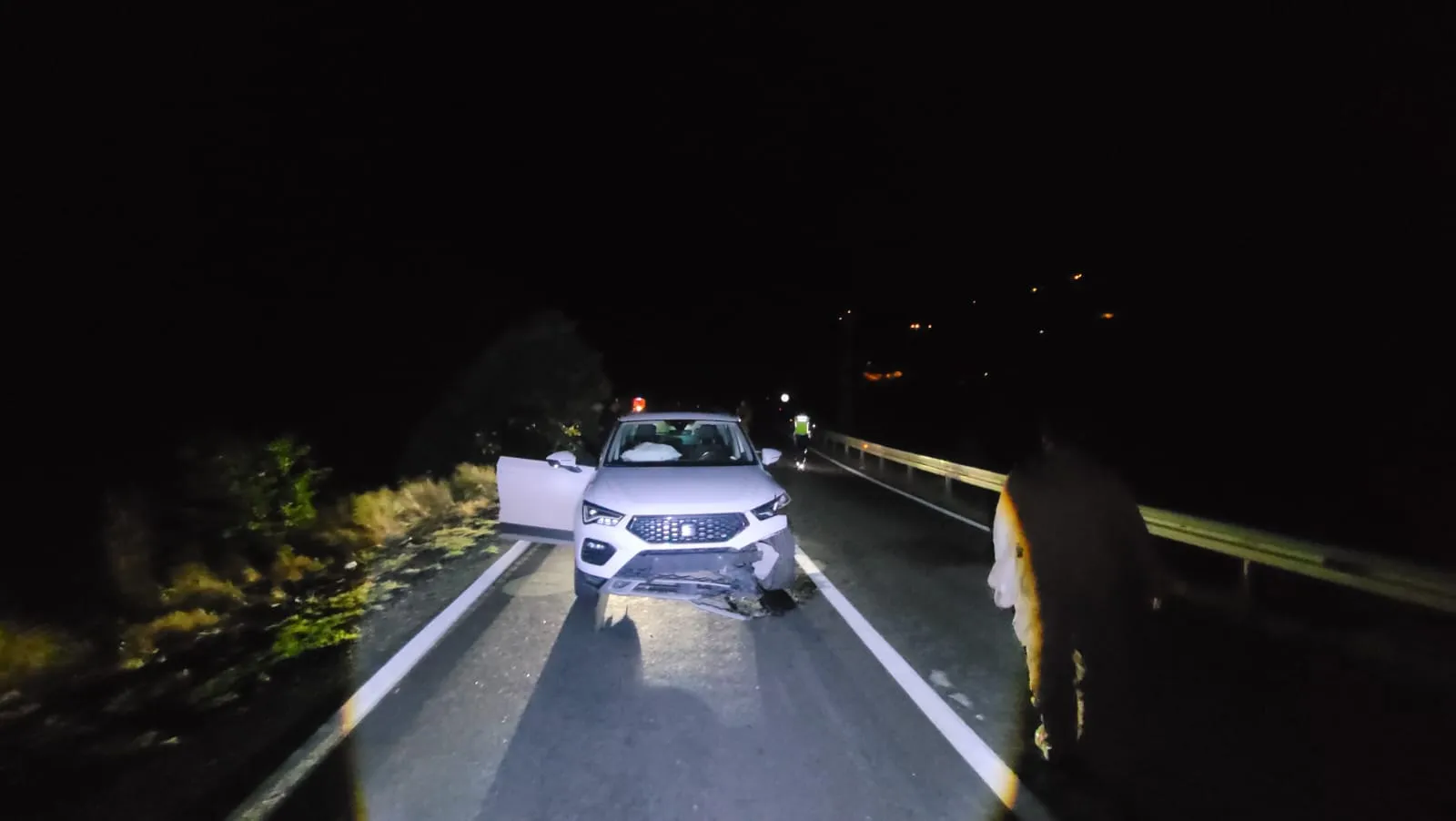 Tunceli kara yolunda gece yarısı dehşeti: Yola çıkan ayıya çarptı