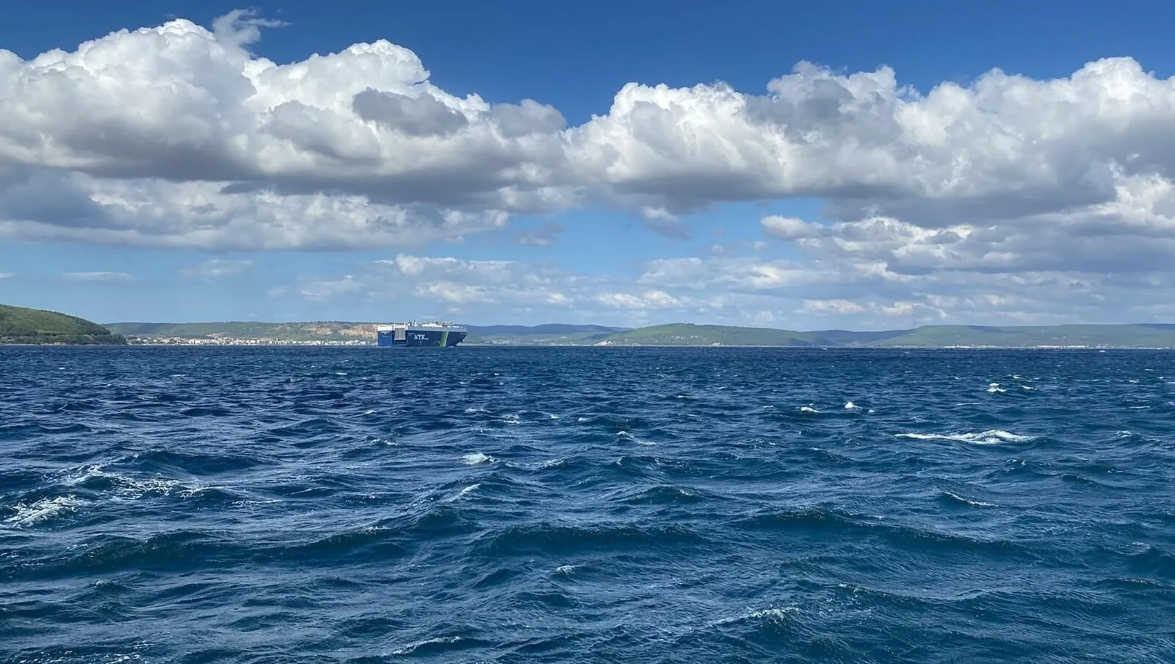 Marmara'da palamut bereketi neden gecikti? Balıkçıların beklediği o değişim yaşandı