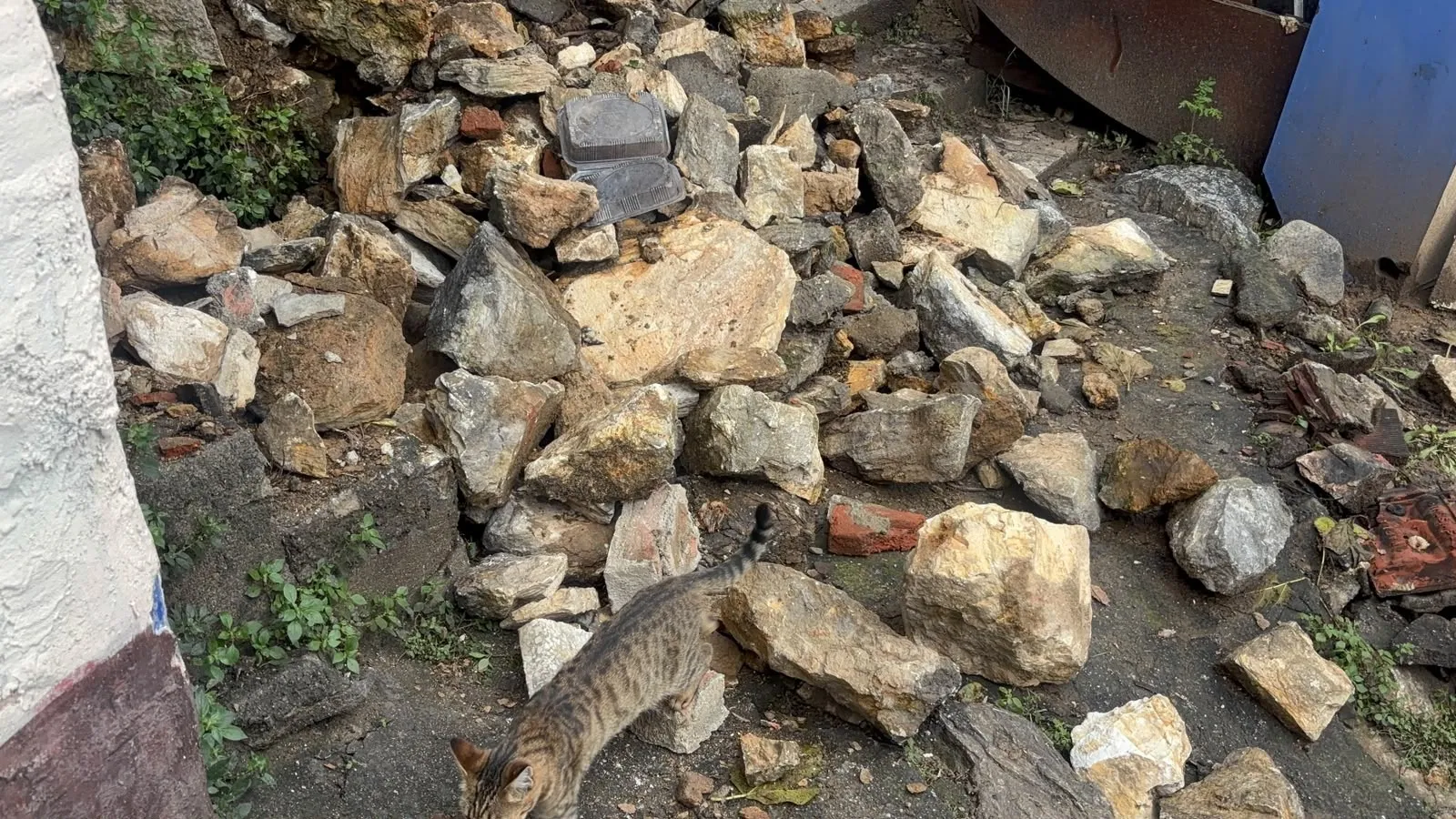 Bursa'da korkutan heyelan: Yamaçtaki toprak kütlesi yola savruldu