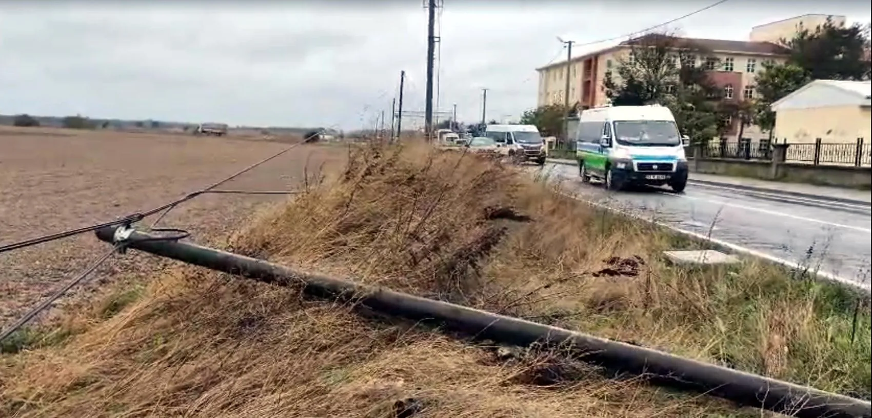 Tekirdağ'da fırtına hayatı felç etti: Devrilen ağaçlar ve direkler ulaşımı aksattı
