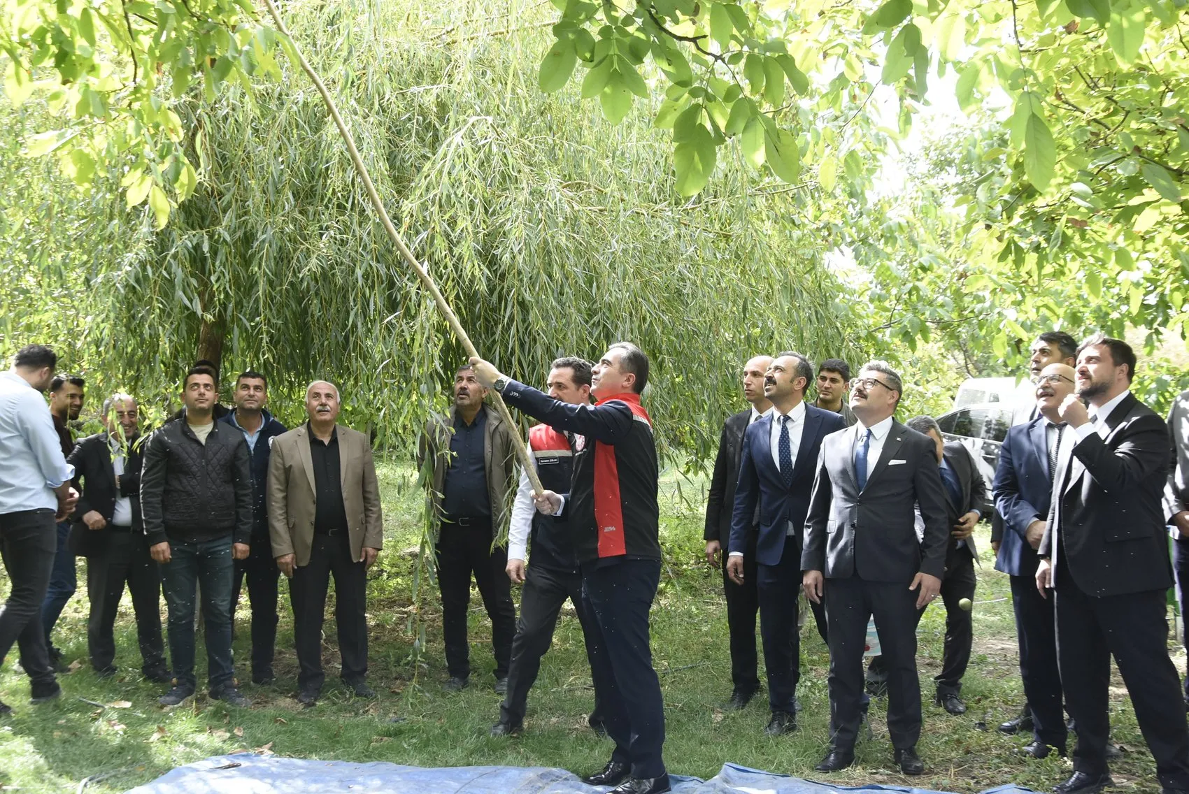Bitlis'in bereketli topraklarında ceviz mesaisi: Vali Karakaya geleneksel yöntemle hasada katıldı