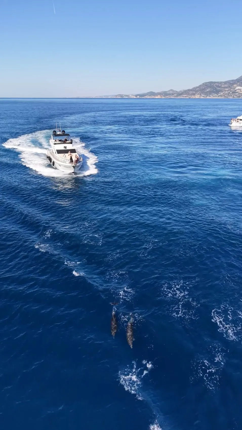 Alanya açıklarında turistlere unutulmaz sürpriz: Yunusların dansı havadan görüntülendi