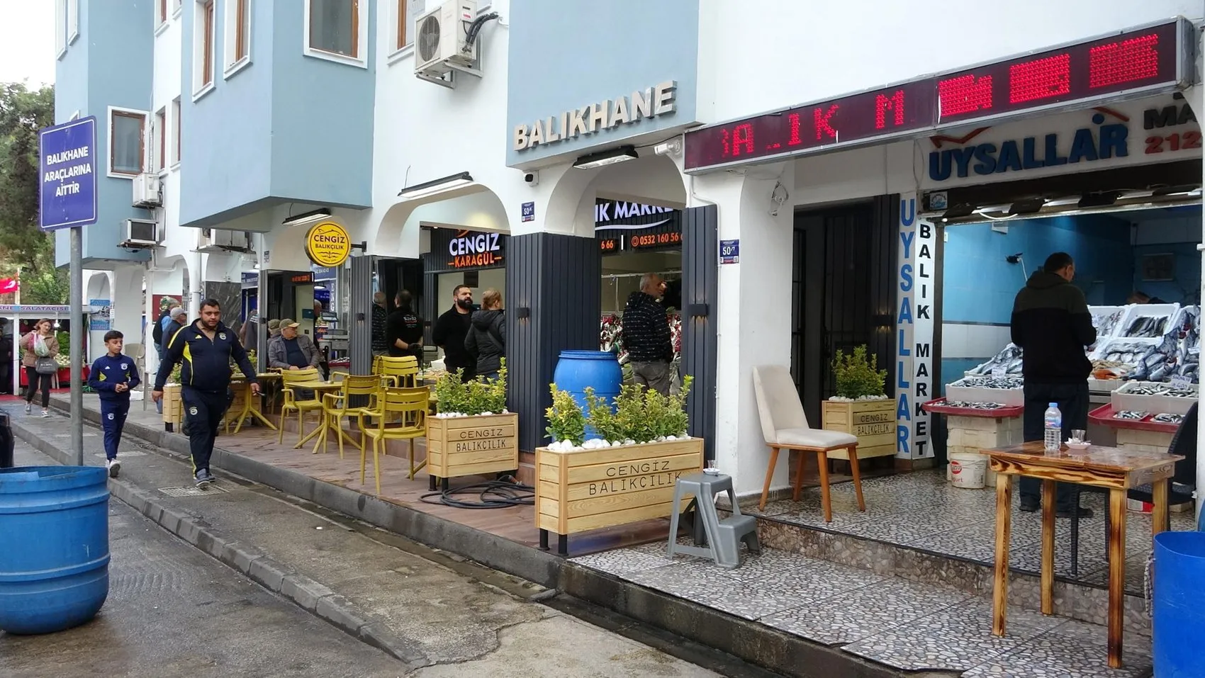 Marmara'da palamut bereketi neden gecikti? Balıkçıların beklediği o değişim yaşandı