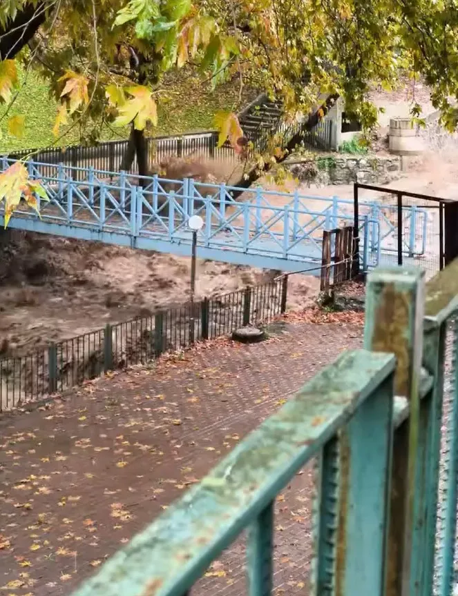 Bursa'da kabus dolu saatler: Dereler taştı, ekipler 79 ayrı noktada seferber oldu