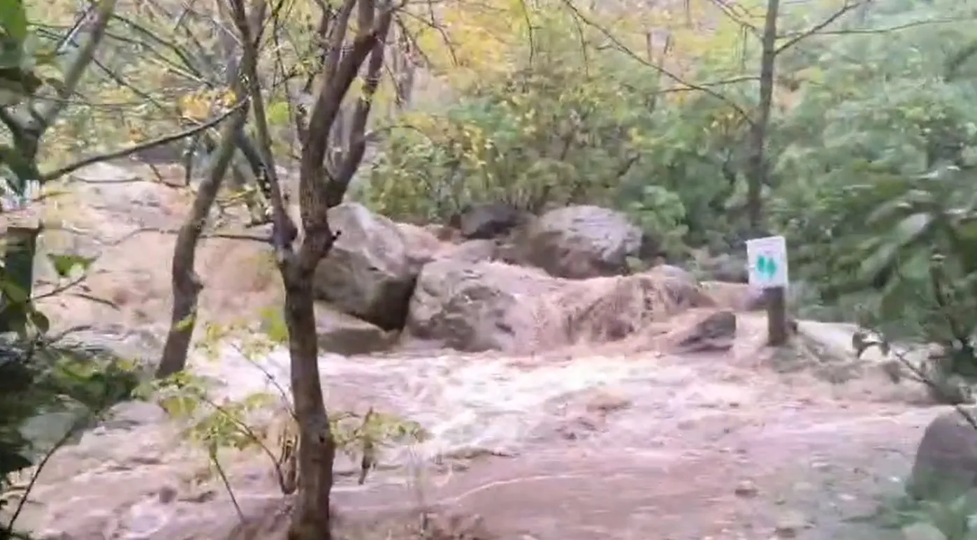 Bursa'da kabus dolu saatler: Dereler taştı, ekipler 79 ayrı noktada seferber oldu