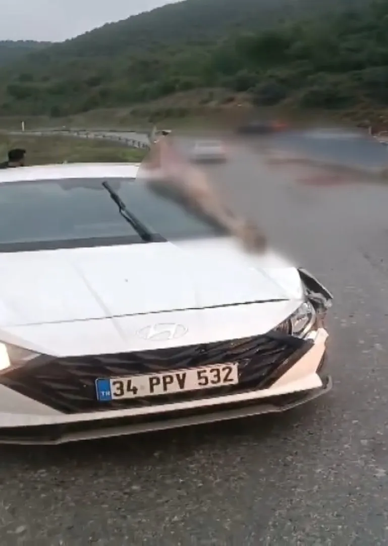 Arnavutköy'de dehşet anları: Otomobilin çarptığı atın bacağı araca saplandı